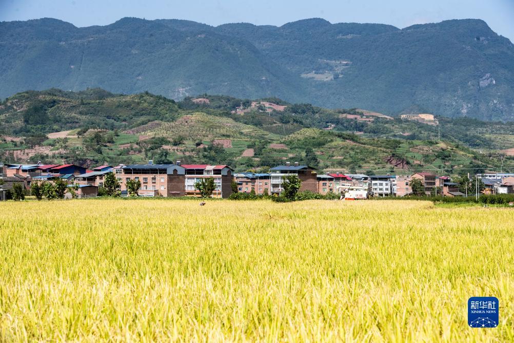 悠悠捕鱼游戏中心456
